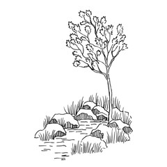 Landscape with waterfall, rocks, tree. Hand drawn vector illustration.