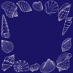 Frame with seashells with copy space for design or message.  Hand drawn