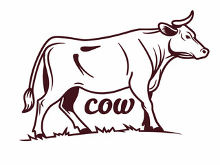Brown Line Art Cow Illustration on White Background V E C T O R bovine cattle