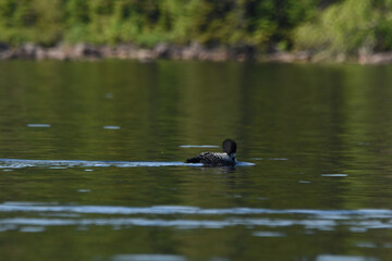 Parc Mauricie - 21 Juin 2025