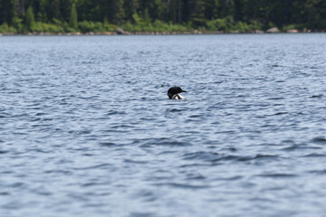 Parc Mauricie - 21 Juin 2025