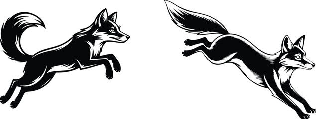 Two foxes jumping isolated on white background in monochrome style