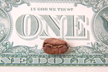 cracked coffee bean sits atop a U.S. one-dollar bill, blending natural brown hues with the green...