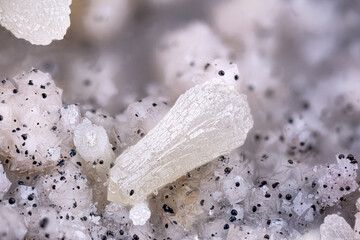 White Mimetite on Dolomite with black Goethite.  Specimen from Tsumeb mine, Namibia. Micro photography extreme close-up. microscope mineral crystal photography for Scientific use.
