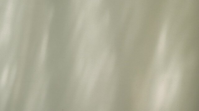 Soft organic leaf shadows dancing on neutral textured wall for lifestyle background.