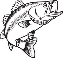 Fototapeta premium Aggressive Largemouth Bass Fish Jumping Vector Illustration, Sport Fishing Graphic. Aggressive Largemouth Bass Fish Jumping Vector Illustration.