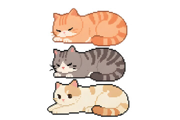 A Group of Cats Stacked on Each Other
