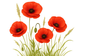 Obraz premium Vibrant red poppy flowers are blooming among green grass blades, creating a cheerful and natural scene against a transparent background