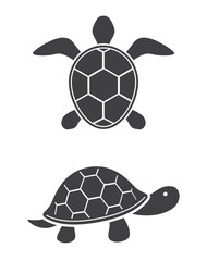 turtle reptile icon set