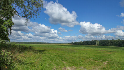 Summer rural landscape with green field and blue cloudy sky