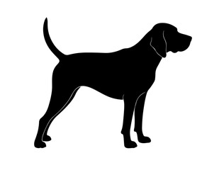  A black vector image of American Cocker Spaniel in silhouette on white background.