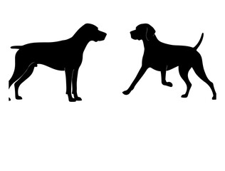 Vector image of Argentine Pila in silhouette on white background.