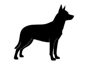 Australian Cattle Dog in silhouette on white  background.