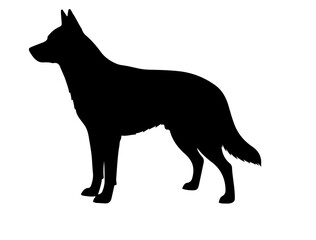 Artois Hound in silhouette on white background.