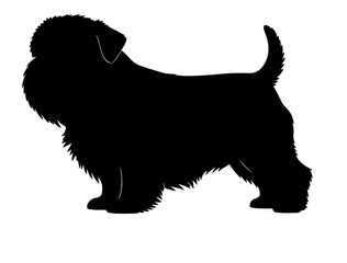 Black silhouette of an elephant with tusks white background.