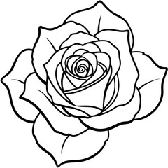 Single Bloom Rose Outline