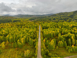 An aerial perspective captures a winding road cutting through a dense forest displaying vibrant...