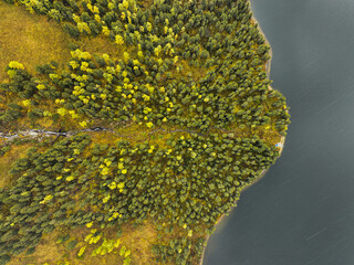 A top-down aerial view capturing the vibrant transition of an autumn forest, with green and yellow trees bordering the calm waters of a lake