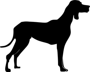 background ilustration dog 