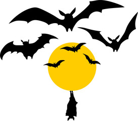 background ilustration vector bat in the dark night