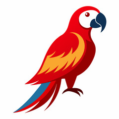 red parrot isolated on white