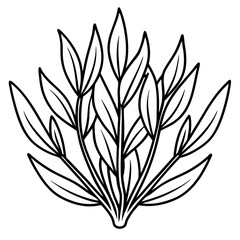 Delicate Plant Outline Vector