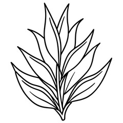 Delicate Plant Outline Vector