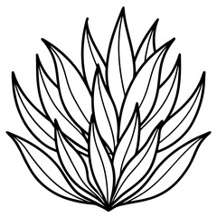 Delicate Plant Outline Vector