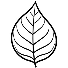Early Leaf Shape Line Art Vector