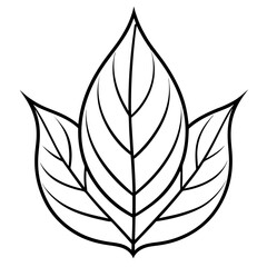 Early Leaf Shape Line Art Vector