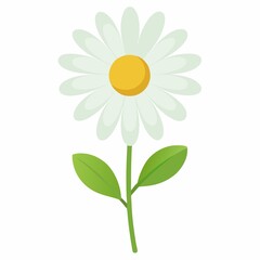 Simple daisy flower illustration isolated on white background