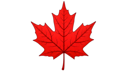 Red maple leaf illustration isolated on transparent background