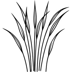Elegant Grass Blades Line Art