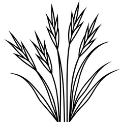 Fototapeta premium Elegant Grass Blades Line Art