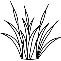 Obraz premium Elegant Grass Blades Line Art