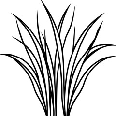 Elegant Grass Blades Line Art