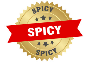 spicy. spicy round red and gold label isolated on transparent background