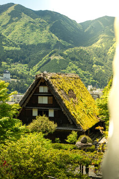 Traditional Architecture is Cultural Heritage