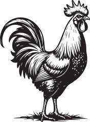 Rooster Silhouette: A vintage-style rooster illustration in black and white, capturing its proud stance and detailed plumage with clean lines and classic charm.