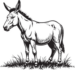 The Humble Donkey: A detailed black and white illustration portrays a solitary donkey standing proudly in a grassy field. A symbol of humility and strength.