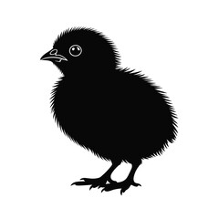 Obraz premium Adobe Illustrator Artwork