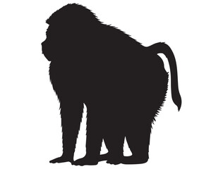 BABOON SILHOUETTE