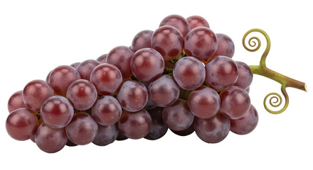 Isolated Bunch of Purple Grapes