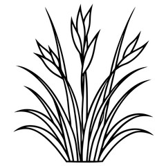 Obraz premium Floral Grassline Vector Art