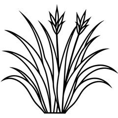 Fototapeta premium Floral Grassline Vector Art