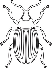Boll weevil insect activity for young kids