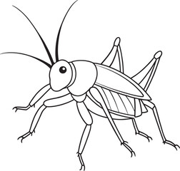 Cricket worksheet for fun bug learning