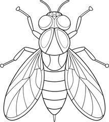 Fruitfly coloring fun for insect learning
