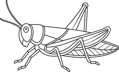 Grasshopper insect coloring activity sheet
