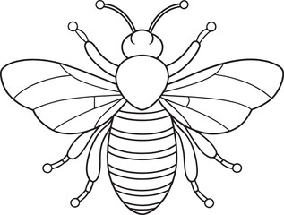 Honeybee bug worksheet for kids activities